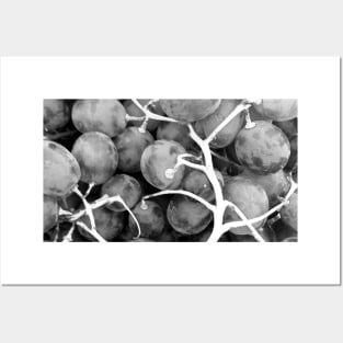 Grapes Fruit black and white Posters and Art